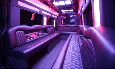 Eau Claire 14 Passenger Sprinter Bus Interior